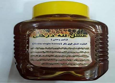 فروش عسل وحشی تنه درختی + قیمت خرید به صرفه